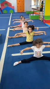 Kahramanmaraş Tosyalı Taekwondo-Cimnastik Ve Futbol Kulubü