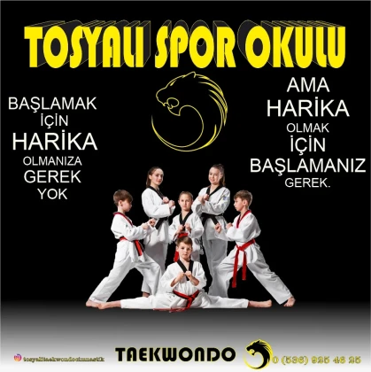 Kahramanmaraş Tosyalı Taekwondo-Cimnastik Ve Futbol Kulubü - Vadi Şubesi
