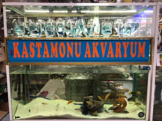 Kastamonu Akvaryum