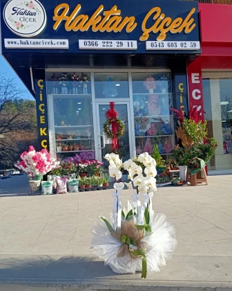 Kastamonu Haktan Çiçek