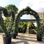 Kayra Peyzaj Ve Fidancılık