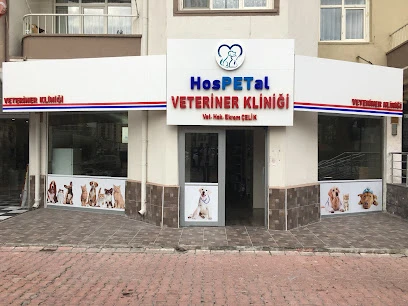 Kayseri Hospetal Veteriner Kliniği