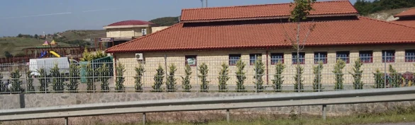 Kbb Sokak Hayvanları Geçici Bakım Evi
