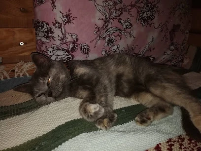 Kentucky Fire Nargile