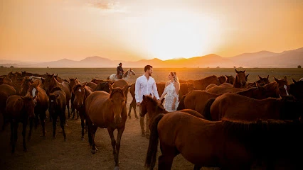 Kırmızı Beyaz Fotoğrafçılık