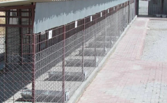 Kırşehir Belediyesi Veteriner İşleri Müdürlüğü