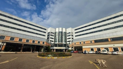 Kocaeli Üniversitesi