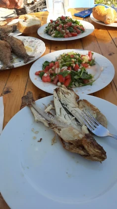 Koşat Alabalık Restoran