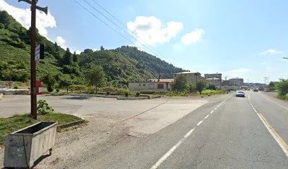 Koyuncular Uluslararası Nakliyat