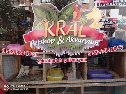 Kral Petshop , Akvaryum &Pethotel