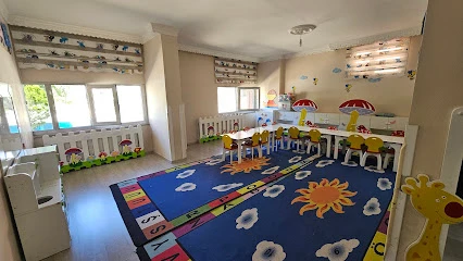 Küçük Mucitler Kreş Ve Gündüz Bakımevi