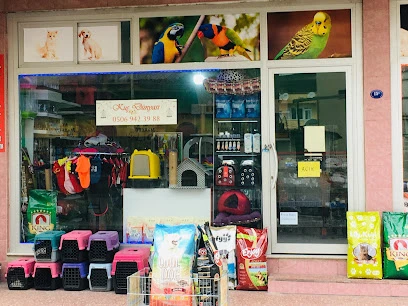 Kuş Dünyası Pet Shop