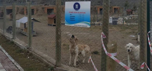 Kütahya Belediyesi Sokak Hayvanları Bakım Evi