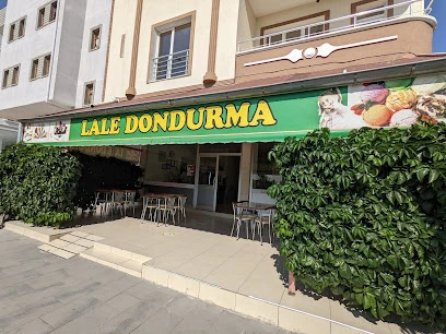 Lale 2 Dondurma