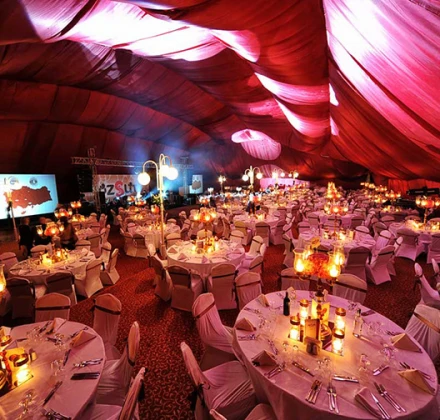 Liatris Organizasyon