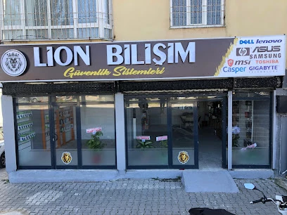 Lion Bilişim Ve Güvenlik Sistemleri