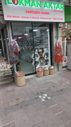 Lokman Aktar Darüşşifa Memba