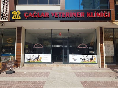 Malatya Tecde Çağlar Veteriner Kliniği