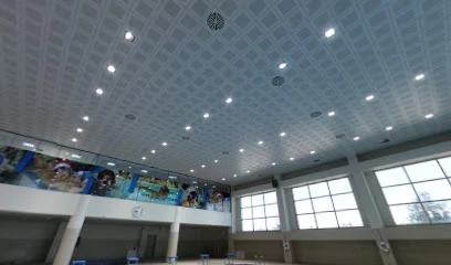 Mardin Artuklu Üniversitesi Yarı Olimpik Yüzme Havuzu