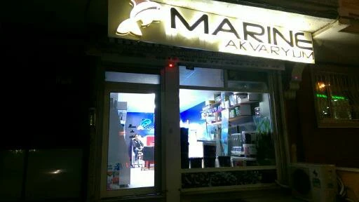 Marıne Akvaryum Sıstemlerı