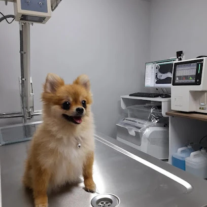 Masadağı Veteriner Kliniği