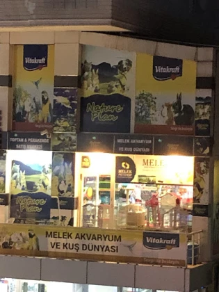 Melek Akvaryum Ve Kuş Dünyası