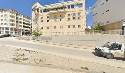 Melisa Şifali Bitkiler