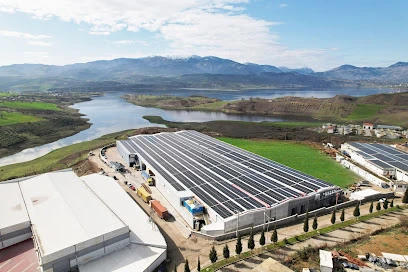 Mem Solar Güneş Paneli Fabrikası