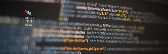 Memleket Design Hosting - Muş Web Tasarım Domain