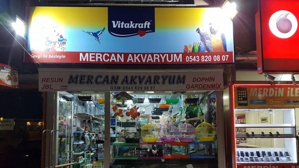 Mercan Akvaryum