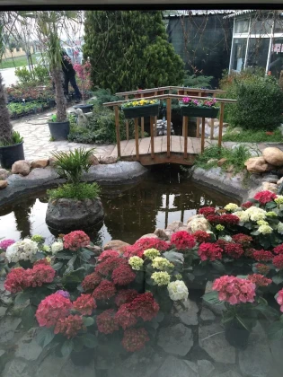 Meriç Süs Bitkileri Ve Çevre Düzenleme