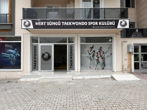 Mert Süngü Taekwondo