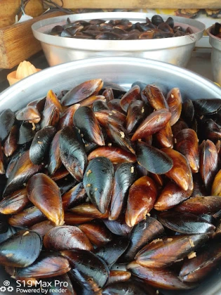 Midyeci Çakır Usta