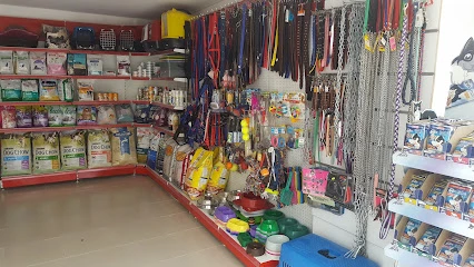 Minik Dost Veteriner Kliniği