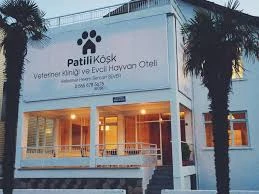 Miya Patili Köşk Petshop, Pet Kuaför, Pet Otel