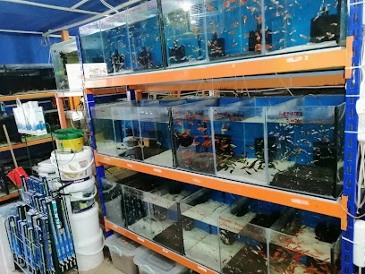 Mr Faruk Petshop