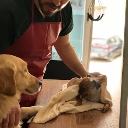 Mutlu Kuyruklar Veteriner Kliniği