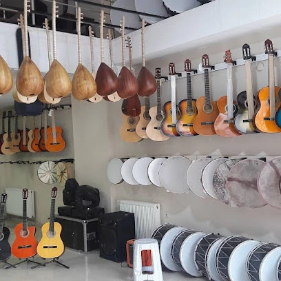 Nar Müzik Aletleri