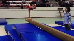 Necmi Uztürk Spor Salonu