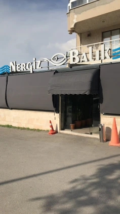 Nergiz Balık