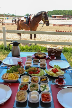 Nilüfer Atlı Spor Kulübü