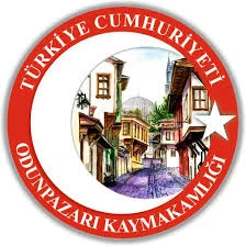 Odunpazarı Kaymakamlığı