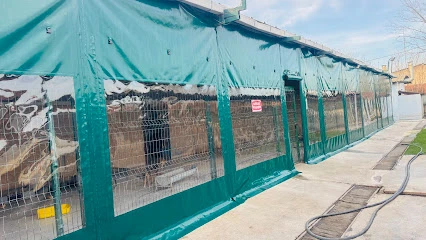 Oğuz Tente & Branda