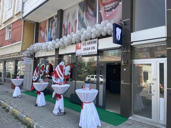 Okan Ok Diş Kliniği -Ardahan Diş Hekimi- Ardahan Diş Doktoru