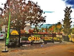 Oklu Peyzaj Ve Fidancılık