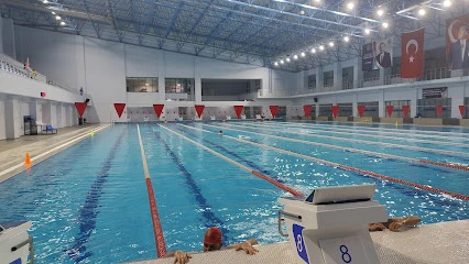 Olimpik Yüzme Havuzu