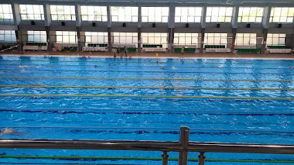 Olimpik Yüzme Havuzu