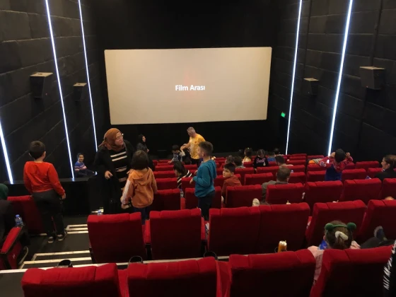 Ordu Cinevizyon Sinemaları