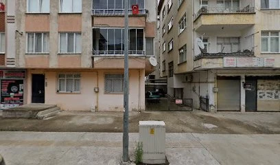 Ordu Güvenlik Destek Bilgi Sistemleri