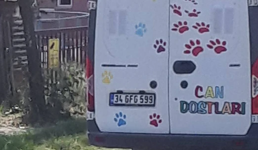 Ordu Hayvan Barınağı